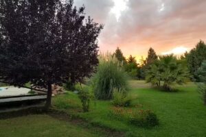 CABAÑAS CASAS DEL LAGO