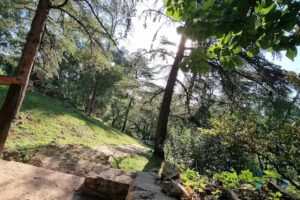 Cabañas Cedros Del Diquecito