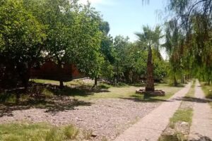 Cabañas Cerro Bonito