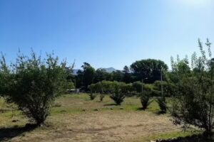 CABAÑAS CERRO CEFERINO