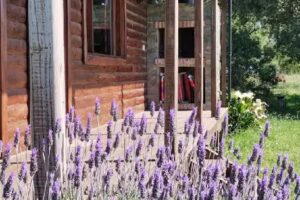 Cabañas Chacra de los Sueños