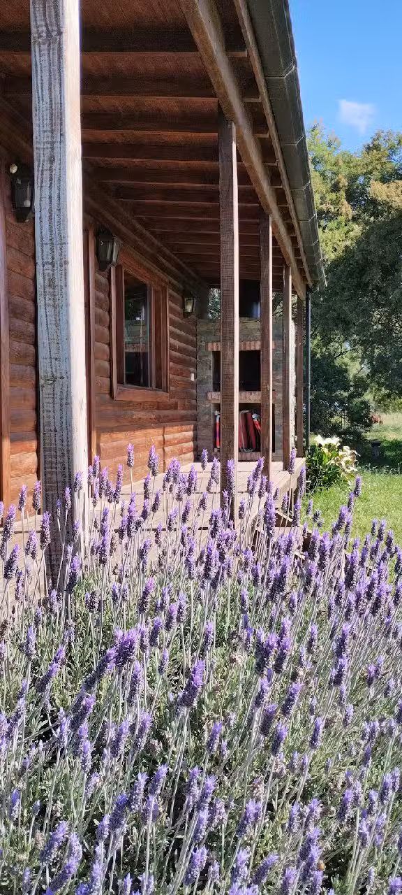Cabañas Chacra de los Sueños