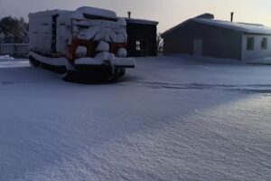Cabañas Ciervo Rojo
