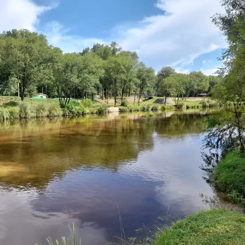 Cabañas Costa Reartes