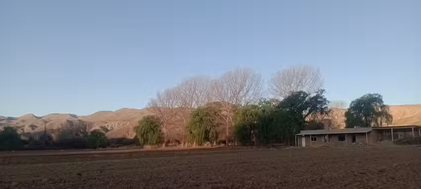 Cabañas Dani
