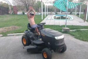 Cabañas de alquiler Nilvo