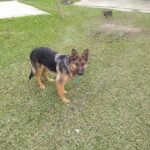 Cabañas de alquiler Nilvo