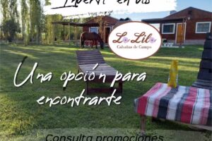 Cabañas de Campo La Lila