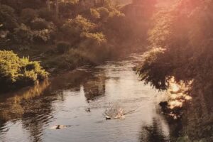 Cabañas de la Compañía