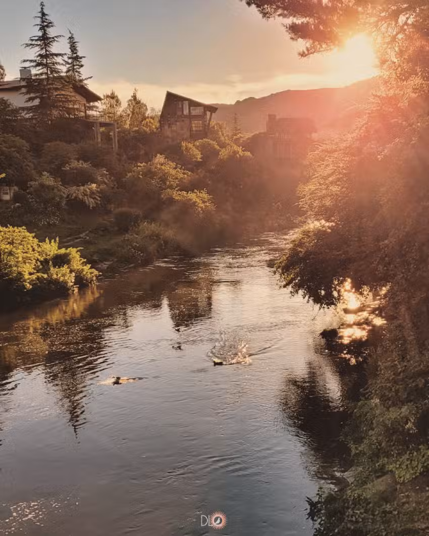 Cabañas de la Compañía