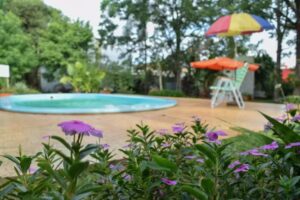 Cabañas De La Selva