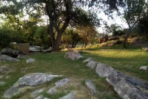 Cabañas de La Vertiente