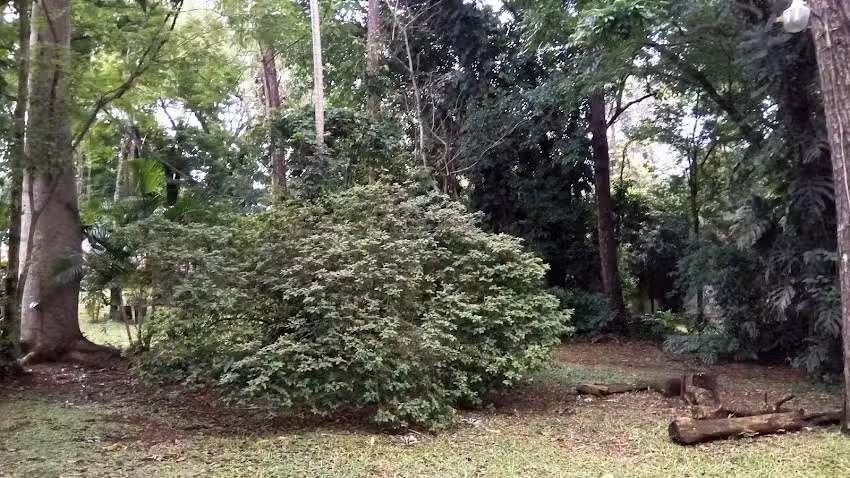 Cabañas Del Bosque Iguazú