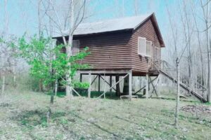 Cabañas del durazno