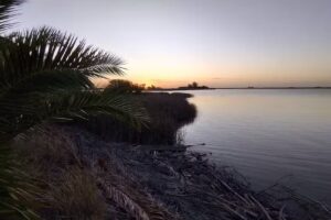 Cabañas del Saladero (sólo con reserva anticipada)