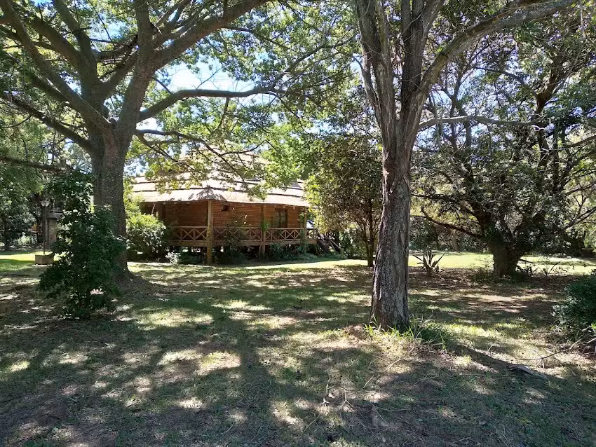 Cabañas del viejo puerto