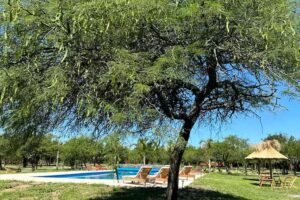 Cabañas del Viñedo