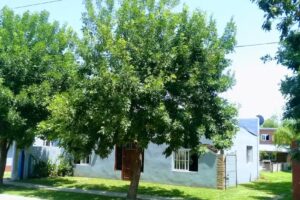 Cabañas Don Cacho Saladero Mariano Cabal