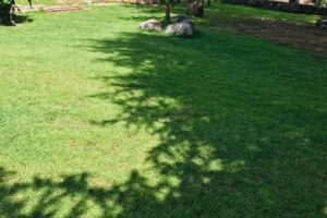 Cabañas “Don Tito”