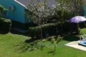 Cabañas Doña Petrona