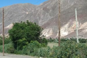 Cabañas Ecologicas El Bordo