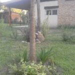 Cabañas El Amanecer