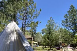 Cabañas El Arbolito San José