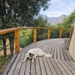 Cabañas El Capricho