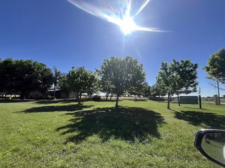 Cabañas El Carlanco