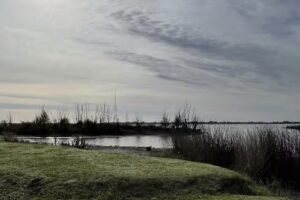 Cabañas el Colibrí