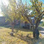 Cabañas “El Descanso”