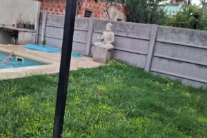 Cabañas el descanso