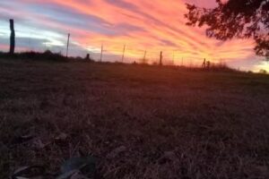 Cabañas el Descanso