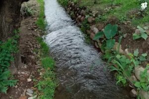 Cabañas “El Jacarandá”
