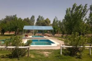 Cabañas “El Moscatel”