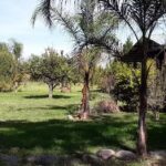 Cabañas El Paraíso