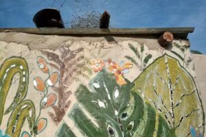 Cabañas El Paraiso De Lupe