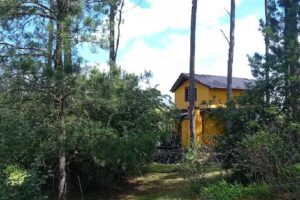 Cabañas El Pinar De Yacanto