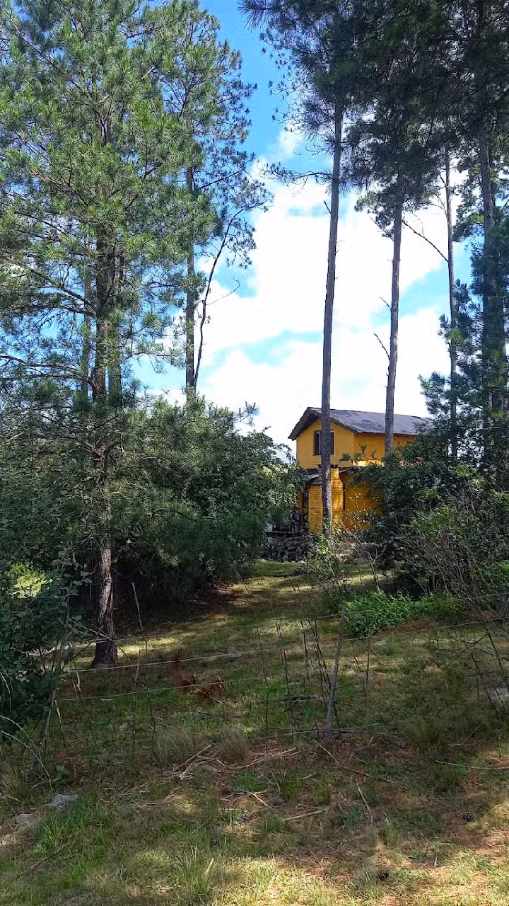 Cabañas El Pinar De Yacanto