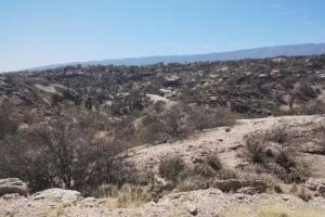 cabañas el refugio anillaco