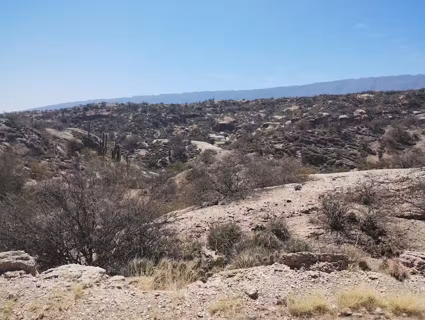 cabañas el refugio anillaco