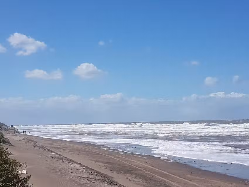 Cabañas El Refugio en pehuen Co