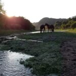 Cabañas El Silencio