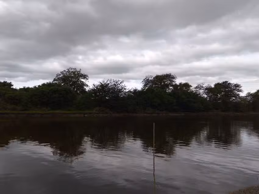 Cabañas El Summum