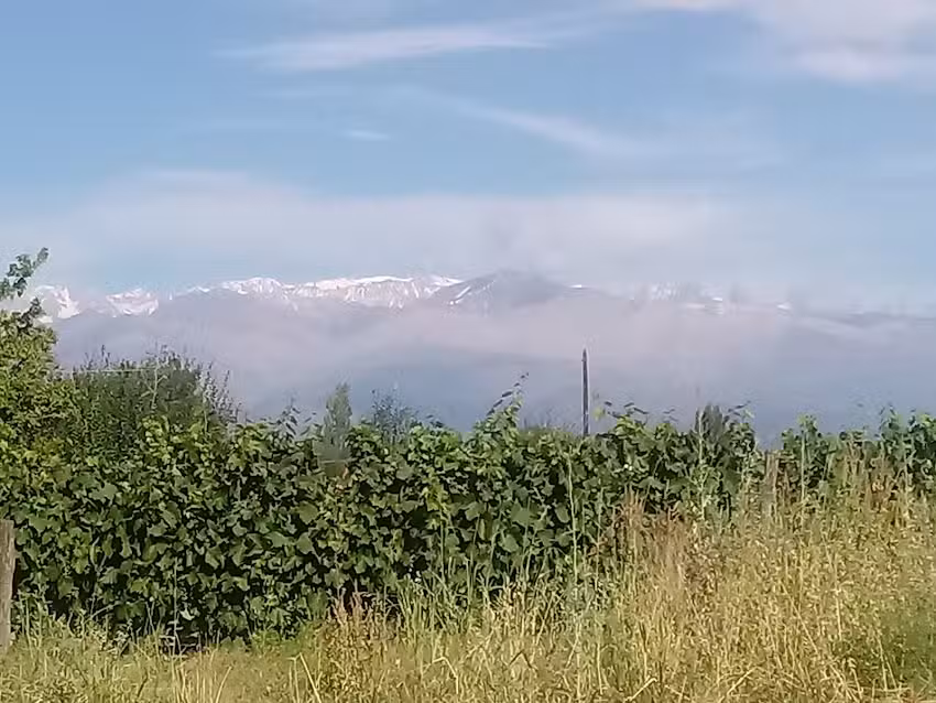 Cabañas El Viejo Laurel