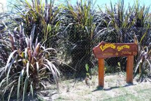 Cabañas Ensueño Serrano
