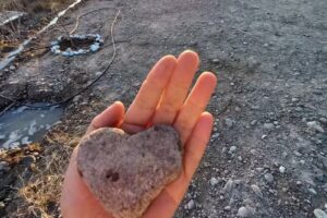 Cabañas “GUALTANUT”