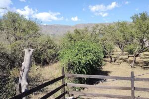 Cabañas Hakuna Matata