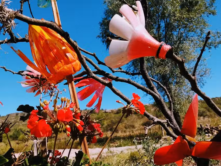 CABAÑAS HOGAR DE MONTAÑA