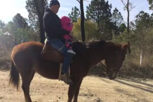 Cabañas juntos a la par